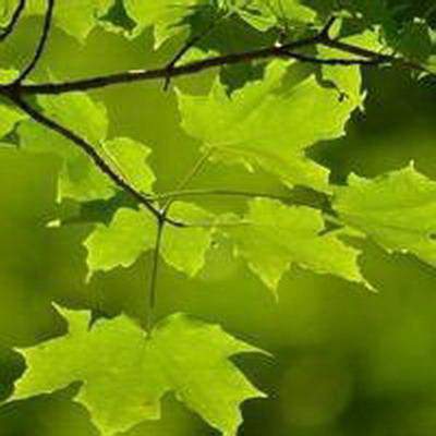 潼南哪个易学風水大師看房子風水