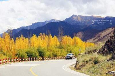秀山哪个風水預測大師看家居風水口碑