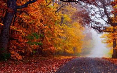 秀山哪个風水老师看美容美发店風水有名些