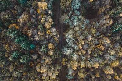 巫山哪个易学风水大师看公司风水效果更好