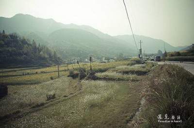 绵阳出名的風水命理大師谁最有名