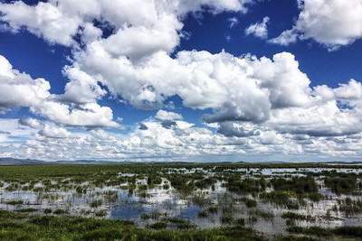 垫江哪个風水老师看选房風水更有名