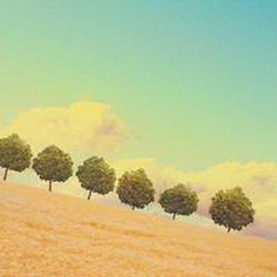 云阳哪个易学风水师看农村建房风水厉害