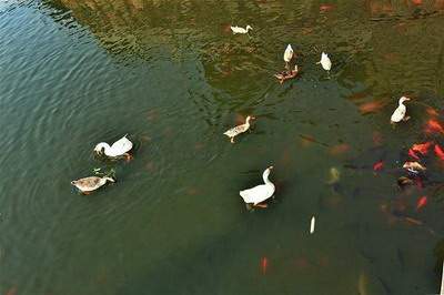 2027年正月十五元宵节放假吗，元宵节有什