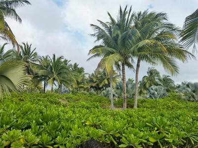 城口哪个風水命理大師看农村坟地風水看得更准