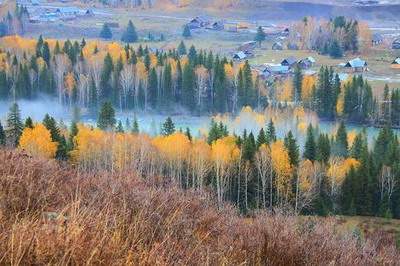 奉节哪个風水大師看网吧風水最厉害
