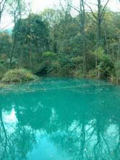 遂宁风水老师算公司风水收费是多少