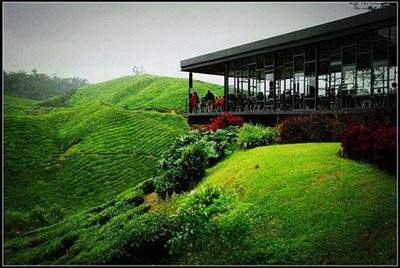 巫山哪个風水命理大師看茶馆風水口碑要好些