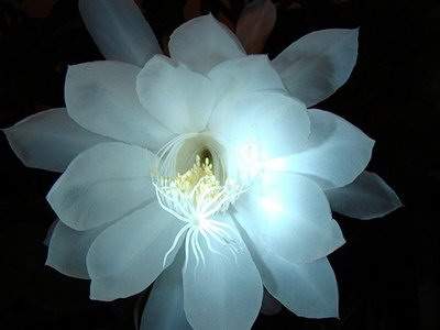 眉山比较出名的風水命理大師哪个更厉害