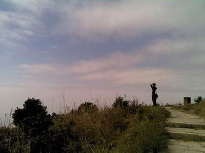 什么花招桃花运
