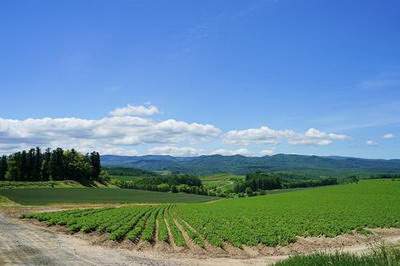 巫溪哪个易学風水师看培训中心風水出名