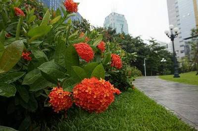 巫山哪个風水大師看门市風水更出名