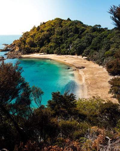 九龙坡请风水大师看流年运势收费价格是多少