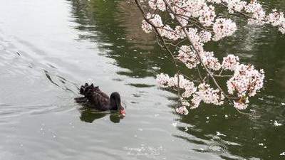 德阳看火锅店风水哪个风水大师最有名