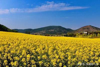 奉节哪个命理風水师看居家風水口碑