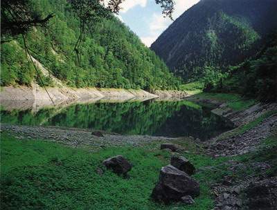 酉阳哪个風水师看餐厅風水出名