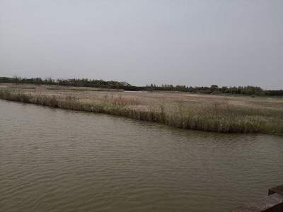 彭水哪个堪舆大師看家居風水看得准