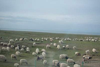 草街街道哪个风水命理大师看别墅风水更好_乾缘堂易经风水