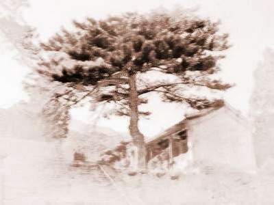 坪坝镇哪个风水老师看商品房风水口碑好_乾缘堂陆叁荷·淼淼