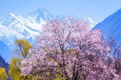 广安哪个風水师傅看商场風水