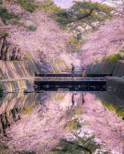 秀山哪个风水先生看洋房风水更出名