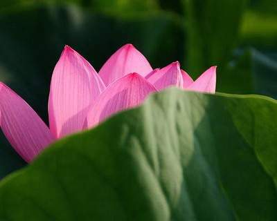 垫江哪个易学風水大師看买房子風水好