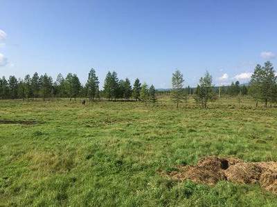 酉阳哪个周易风水师看洋房风水看得好