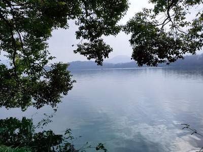 云阳县水口镇看儿童卧室风水哪个风水师口碑最好
