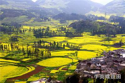 白土乡看餐厅风水哪个风水师傅口碑最好【陆叁荷（淼淼）风水师】