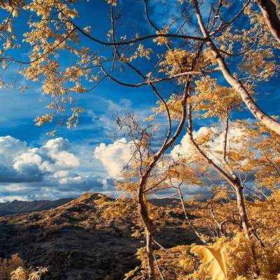 白公街道算命大師算面相算命多少钱_乾缘堂陆叁荷(淼淼)