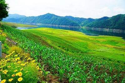 铜梁哪个風水师看美容院風水最有名