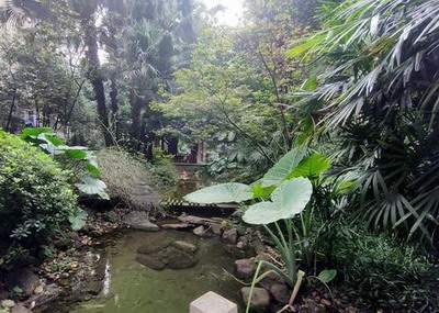 成都看家里風水哪个風水看得准