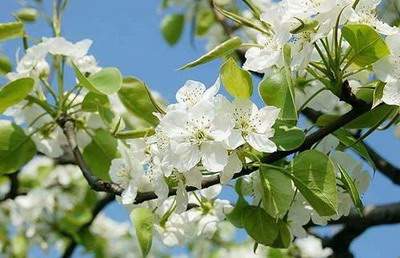 忠县哪个風水命理大師看儿童卧室風水更出名