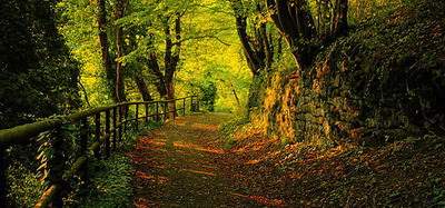 丰都哪个风水调理老师看宠物医院风水口碑好