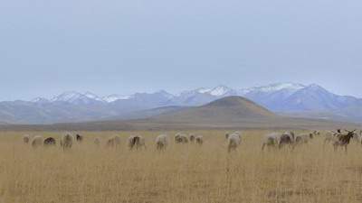 大足哪个易学風水师看酒店風水看得更准