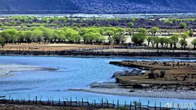 铜梁哪个風水堪舆大師看美容美发店風水最灵