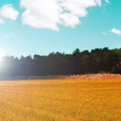 梁平哪个風水預測大師看洋房風水