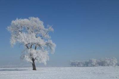 铜梁看足疗馆風水哪个易学風水师较好