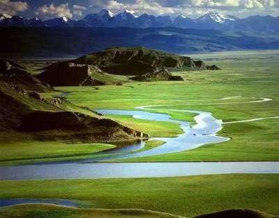 养鱼放在哪里最旺财 养鱼放在哪里最旺财