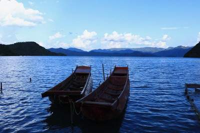 桃花树的花语是什么桃花树的作用風水 桃花树的花语是什么桃花树的作用風水