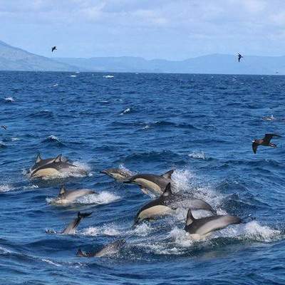 大足哪个風水老师看茶餐厅風水有名气