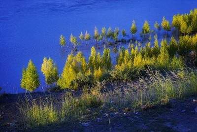 荣昌哪个易学風水大師看诊所風水最灵