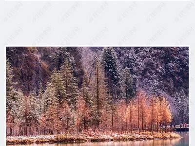 开州哪个風水调理老师看祖坟風水算命最厉害