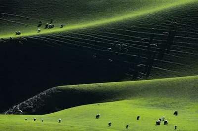 大足看婚房風水哪个風水师更厉害