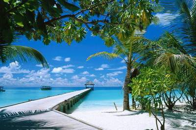 璧山哪个風水看宠物風水好