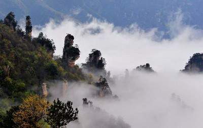 璧山哪个风水命理大师看农村坟地风水最灵