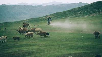 开州哪个命理風水师看门面風水更出名