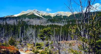 大足看月子会所風水哪个風水玄学大師最厉害