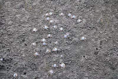 梁平哪个周易風水师看咖啡馆風水最有名