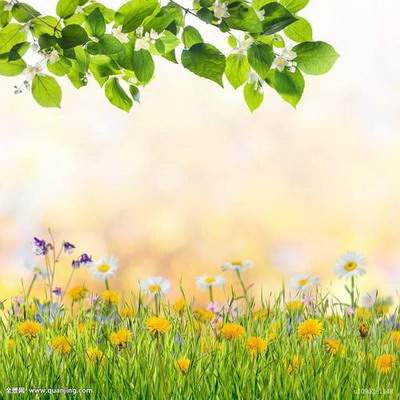 忠县哪个易学風水大師看早餐店風水看得准